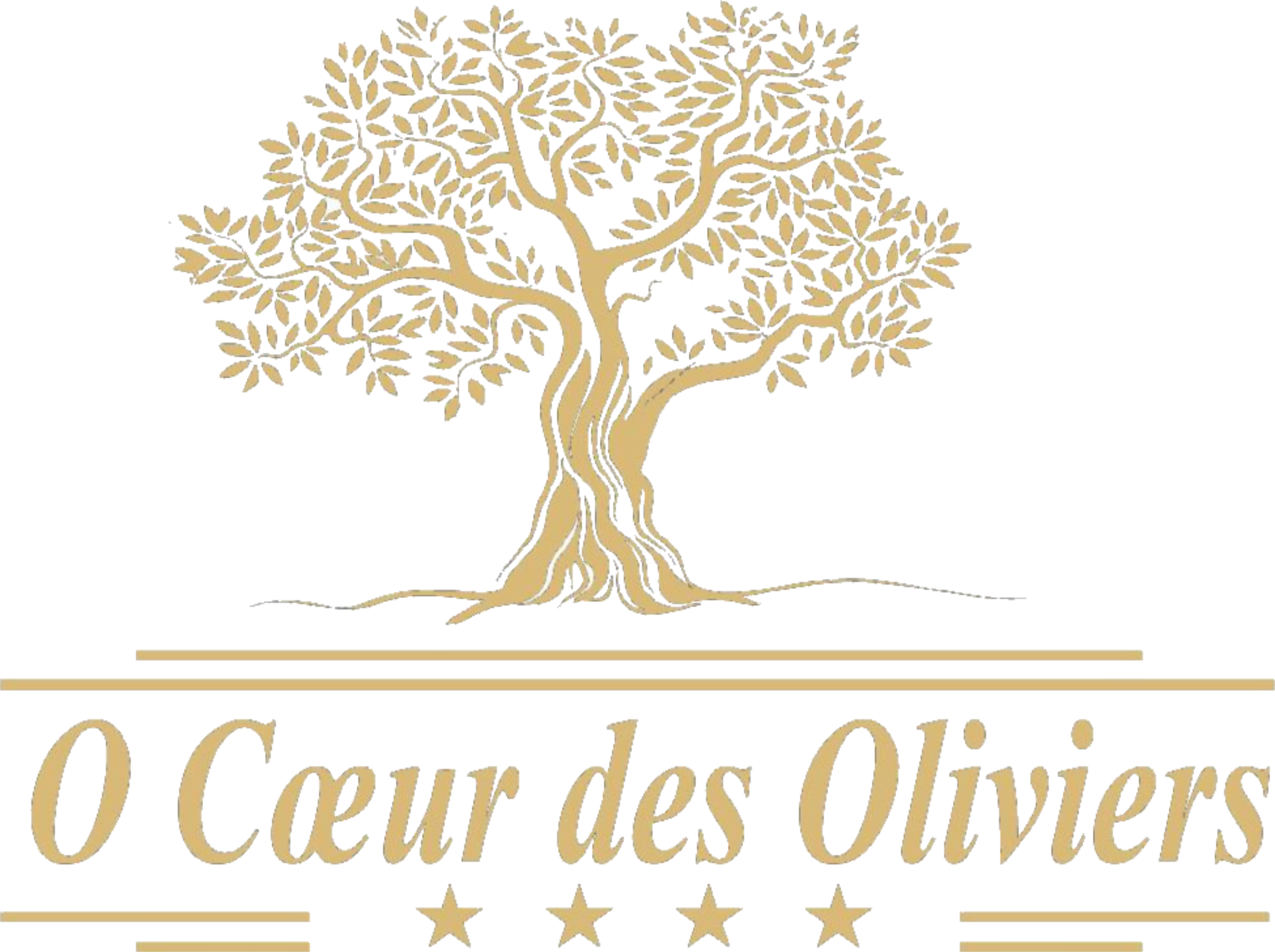 gite ardeche o coeur des oliviers